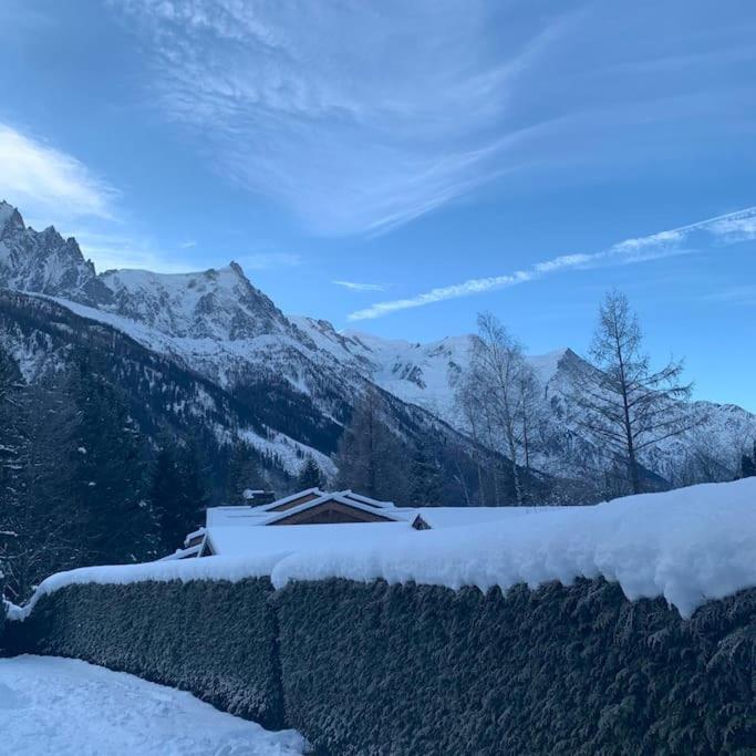 Belle Vue Des Praz Apartment Chamonix Exterior photo