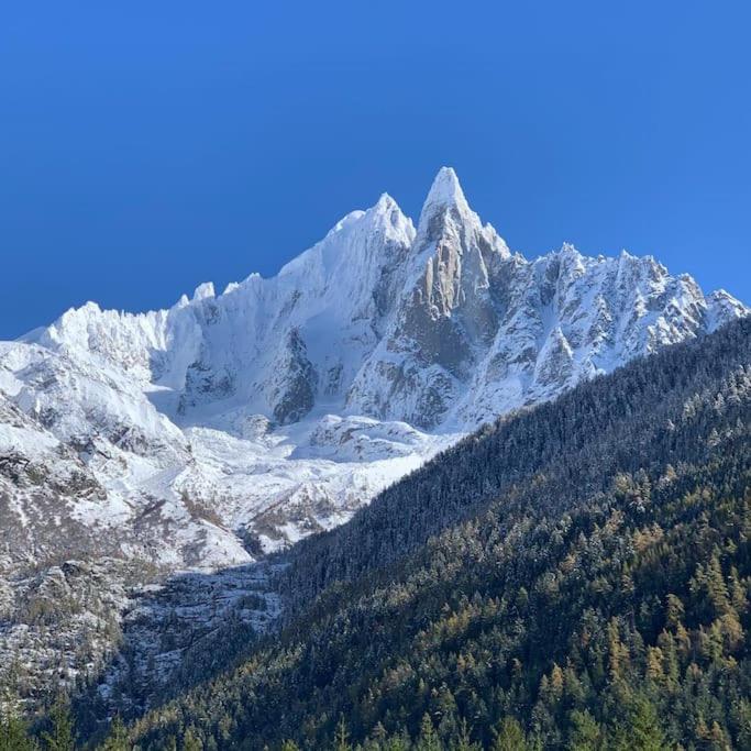 Belle Vue Des Praz Apartment Chamonix Exterior photo